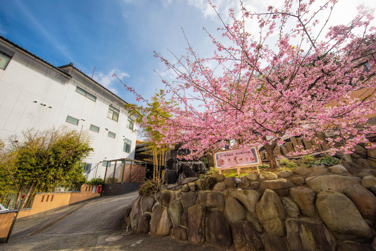 Exterior & Views 2, Inatori Akao Hotel, Higashiizu
