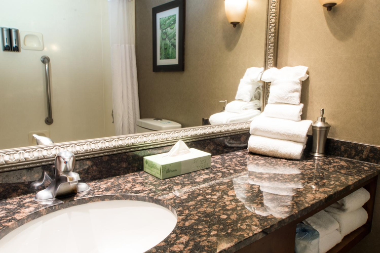Bathroom 4, Greenstay Hotel & Suites, Greene
