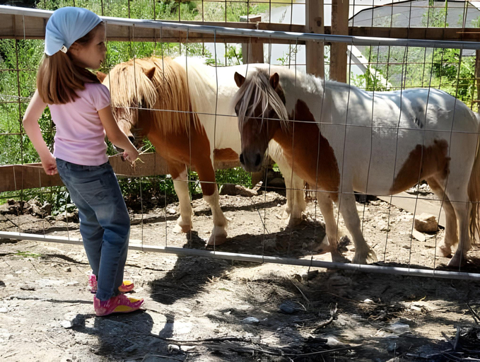 Family & Kids, Gut Sonnbichl, Landeck