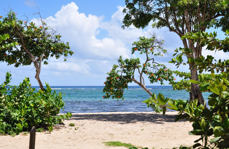 Beach, Residence Tropicale, Le Moule