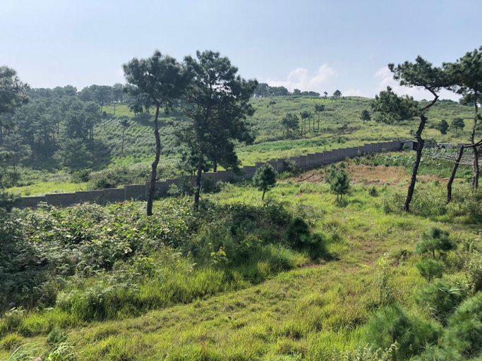 Others 4, Da Blanche, East Khasi Hills