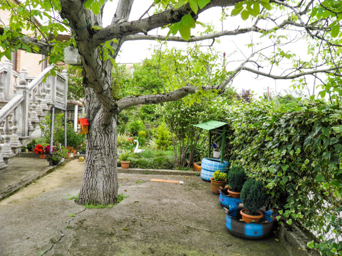 Others 4, Gio's Home, Tskaltubo