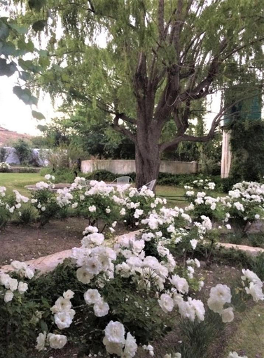 Others 2, Zonnenstrahl Selfcatering Holiday home & Caravan Park, Cacadu