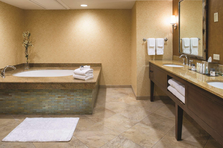Bathroom 4, Doubletree Hotel Seattle Airport, SeaTac