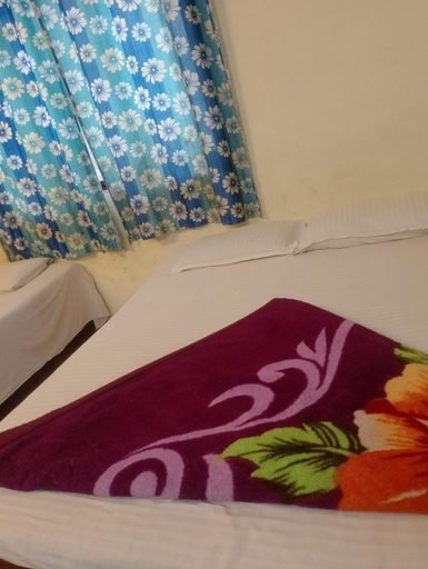 Bedroom 3, Sachin cottage, Raigarh