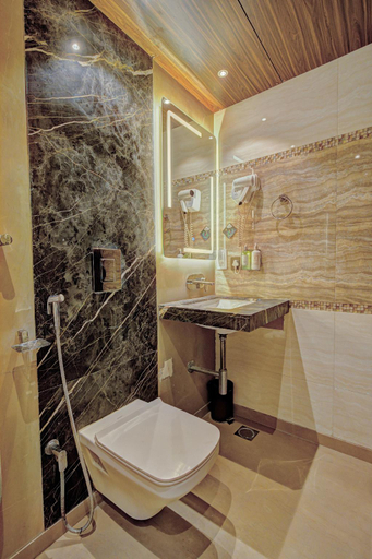 Bathroom 4, THE SINGH EMPIRE (CENTRAL DELHI), Delhi