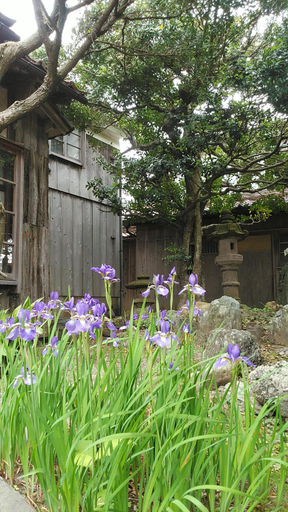 Others 5, Minshuku Kitamaebune, Kaga