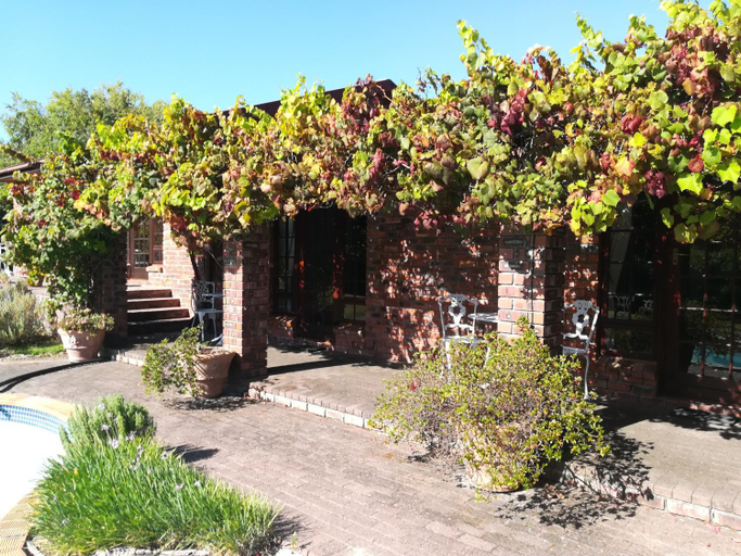 Others 5, Le Petit Vignoble, City of Cape Town