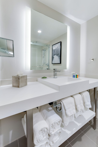 Bathroom 4, Radisson Hotel Seattle Airport, SeaTac