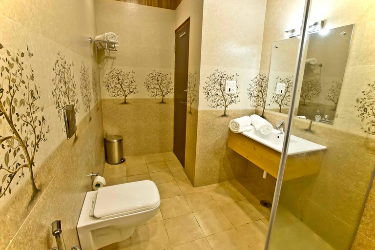 Bathroom 4, Quartz Himalayan Brothers, Kangra