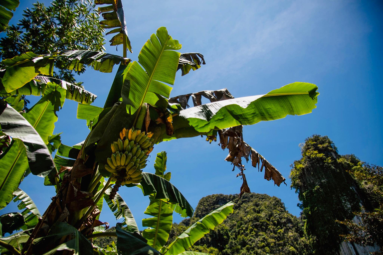 Garden 1, Krabi Kabin, Mueang Krabi