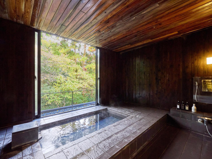 Bathroom 5, SEIKANSOU, Hakone