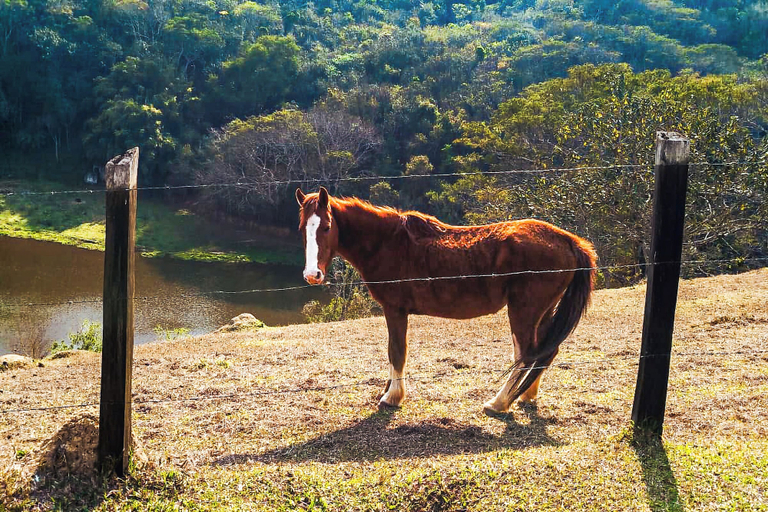 Game drive, VELINN Hotel Fazenda Estrela da Serra, Santo Antônio do Pinhal