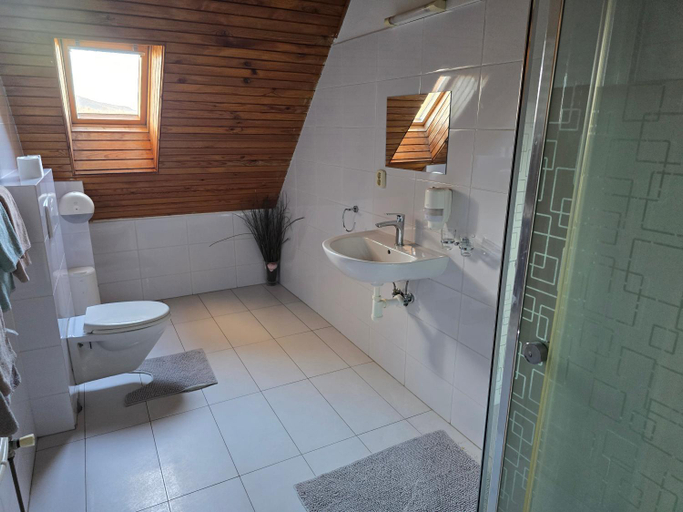 Bathroom 3, Penzion Pegas, Bratislava