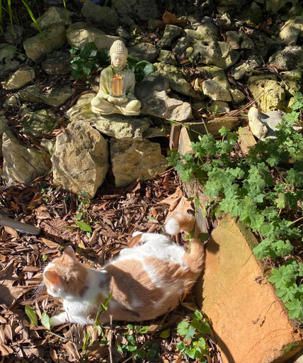 Others 4, Au Jardin, Tarn-et-Garonne