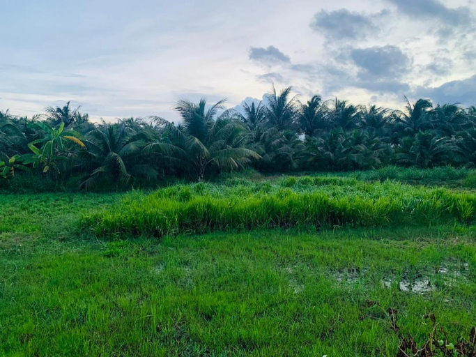 Others 4, Ben Tre Inn, Bến Tre