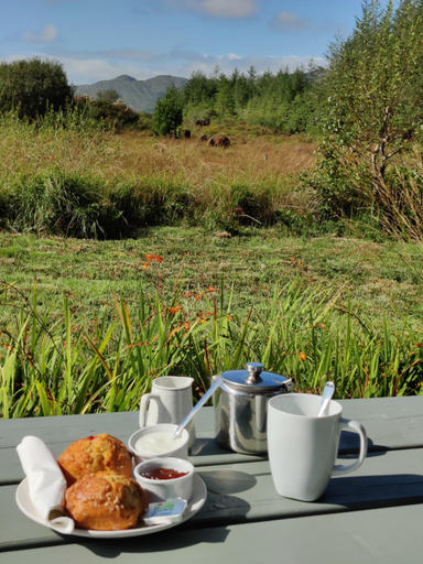 Food & Drinks 5, Alaind Lodges, Sneem