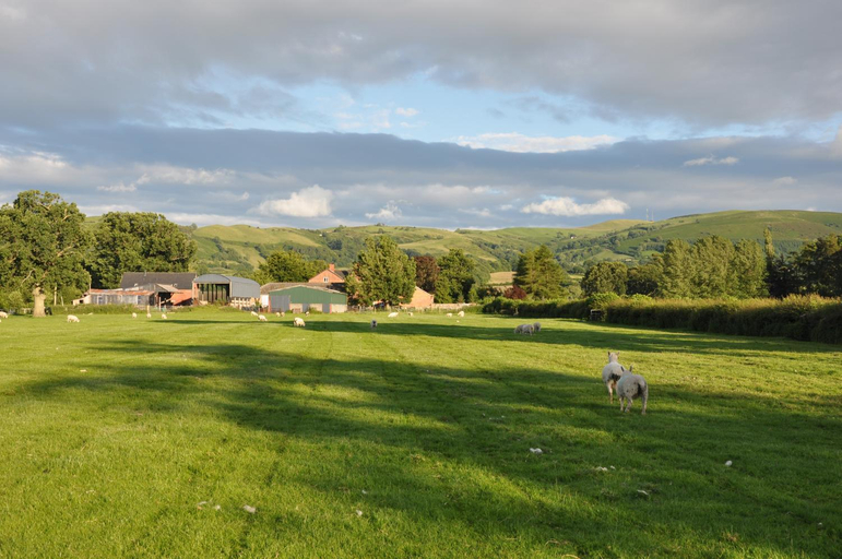 Others 3, Mid Wales Arts B&B, Powys