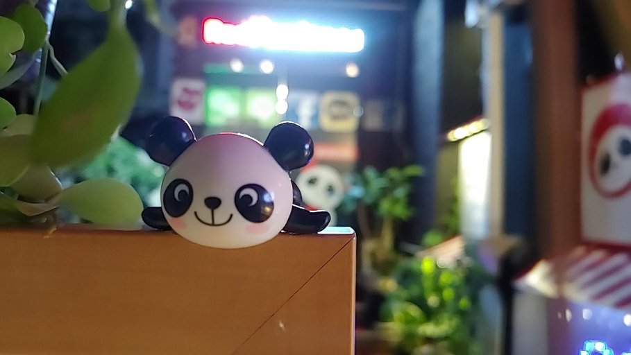 Others 4, Red Panda Hotel, Jung