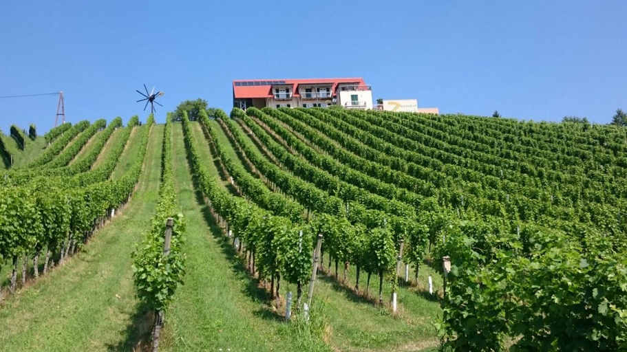 Others 3, Zweytick Gastezimmer Weingut, Leibnitz