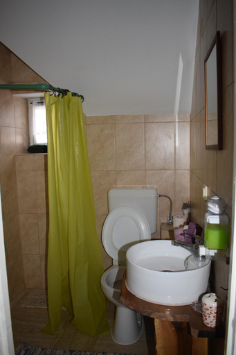 Bathroom 4, Pensiunea Ursu, Borsa