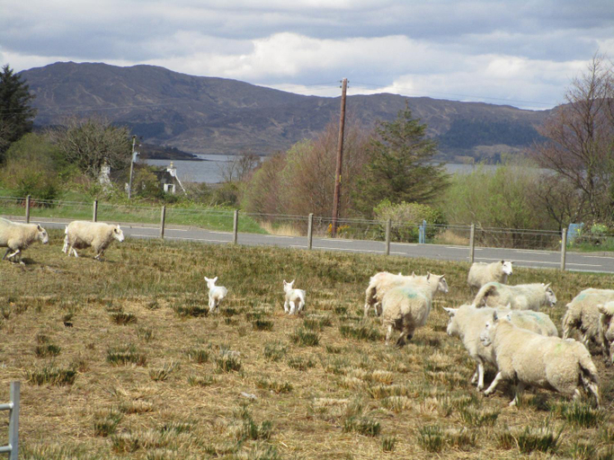 Others 5, Scorrybreac B&B, Highland