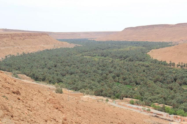 Others 3, HOTE SAHARA, Errachidia