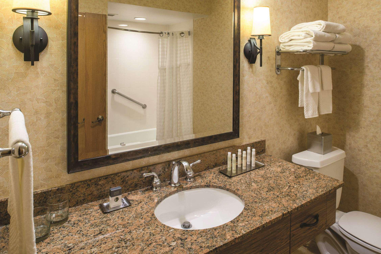 Bathroom 4, Doubletree Hotel Seattle Airport, SeaTac