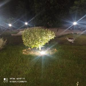 Others 4, Villa Noemi, Avellino