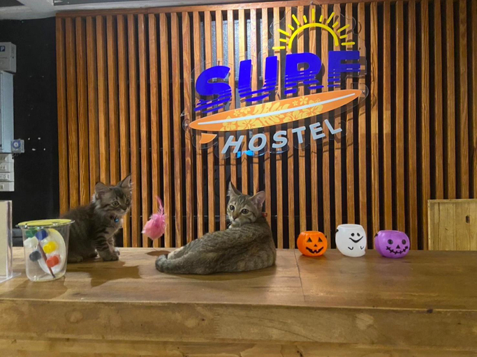 Public Area 2, Surf Hostel Krabi, Mueang Krabi