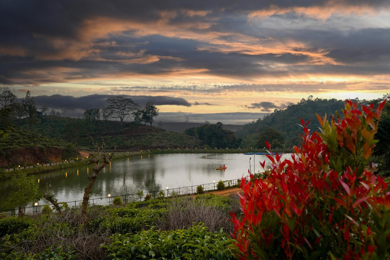 Others 5, Jungle View Resort, Wayanad