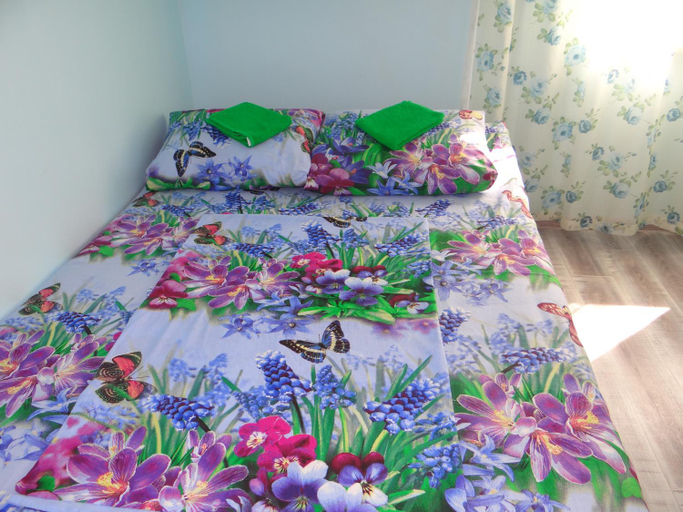 Others 4, Sherlock Holl Hostel, Vladivostok gorsovet