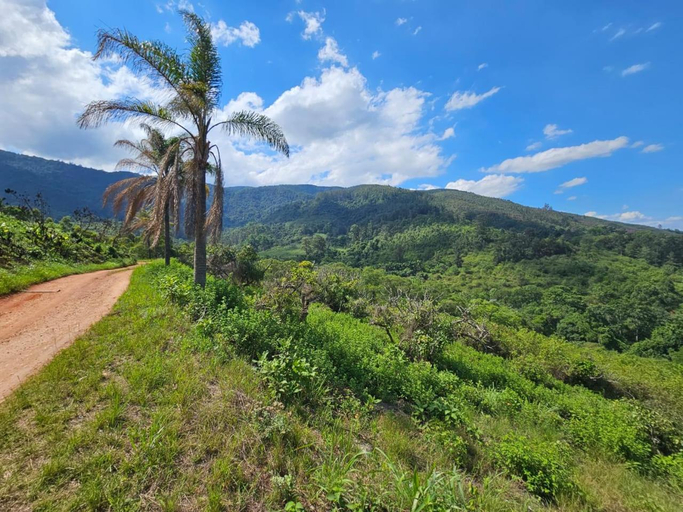 Others 5, Whispering Creek Mountain Lodge, Mopani