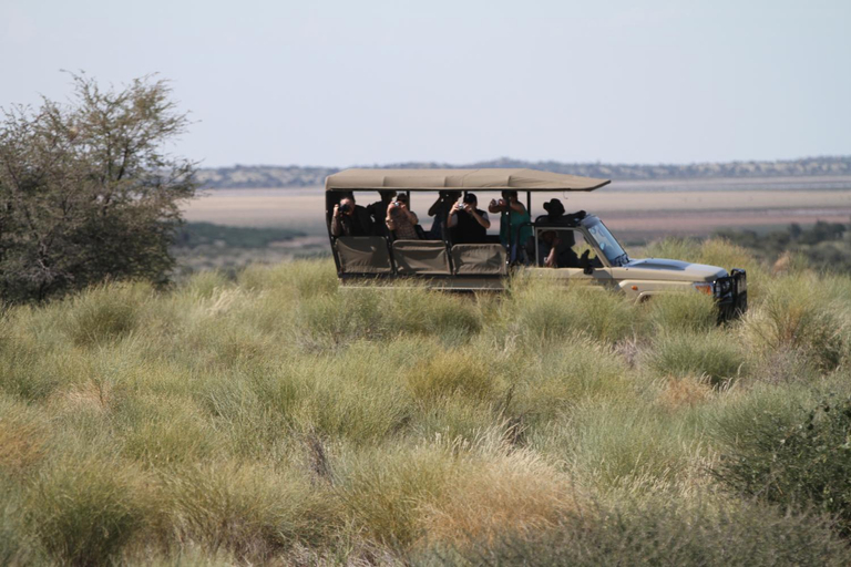Others 5, Camelthorn Kalahari Lodge, Mariental Rural