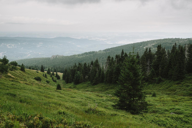 Others 4, WERANDA z widokiem na Karkonosze, Jelenia Góra