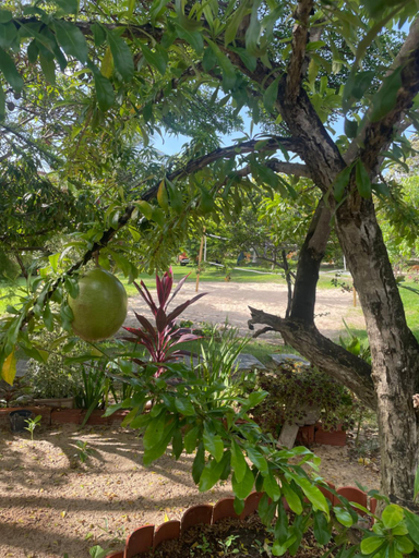 Others 2, Vila Ybira, São Gonçalo do Amarante