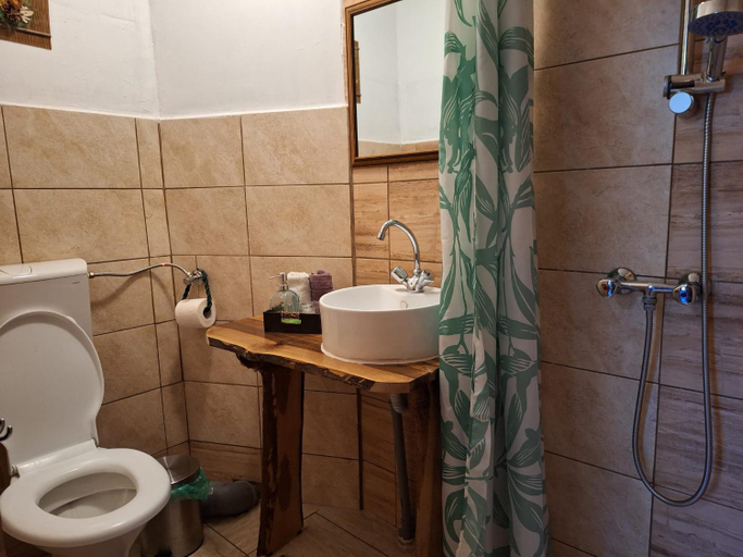 Bathroom 3, Pensiunea Ursu, Borsa