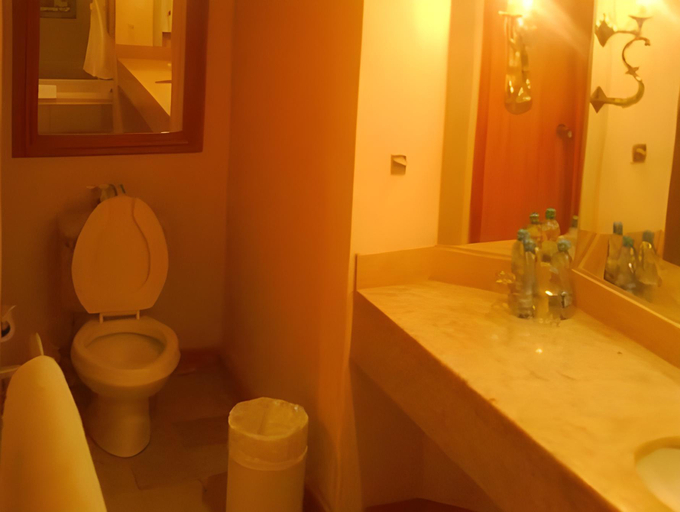 Bathroom 5, Country Hotel & Suites, Guadalajara