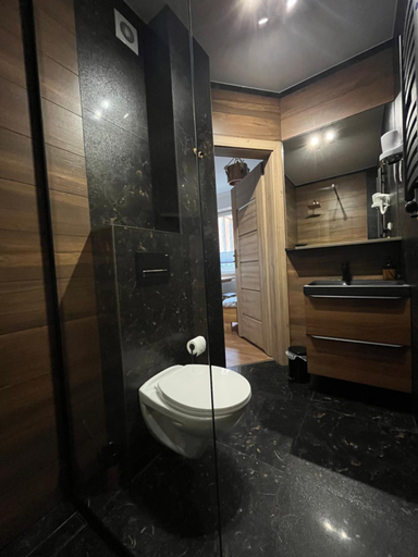 Bathroom 3, uDany Noclegi ze Sniadaniem, Cieszyn
