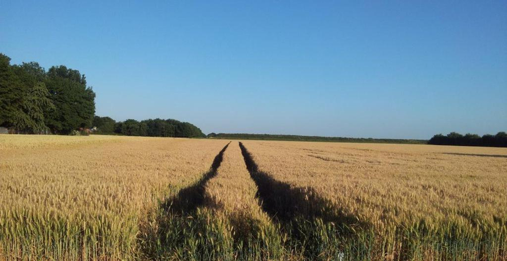Others 3, B&B Koningsbosch, Echt-Susteren