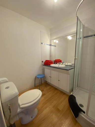 Bathroom 4, Sandrine, Haute-Garonne