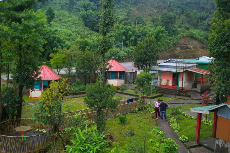 Others 3, Stay Inn Ribsweet Homestay, East Khasi Hills