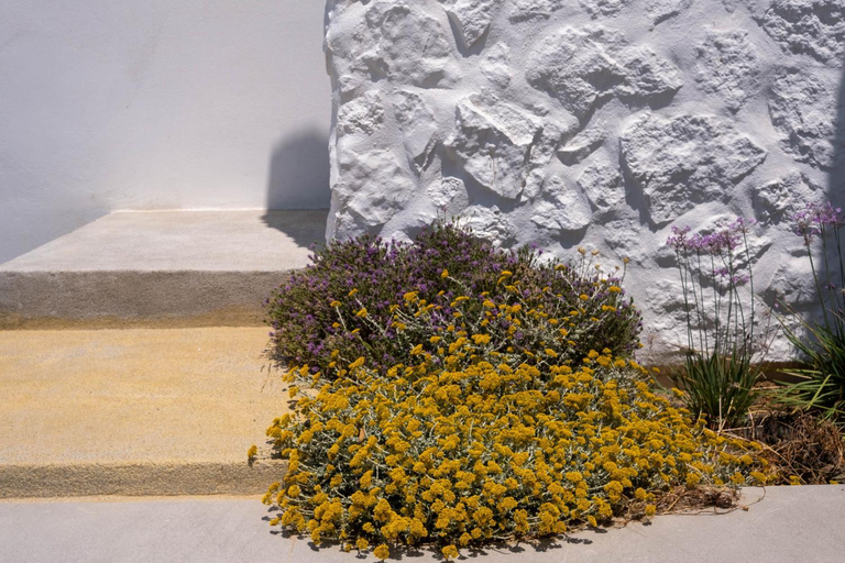 Others 5, Oskelos, South Aegean