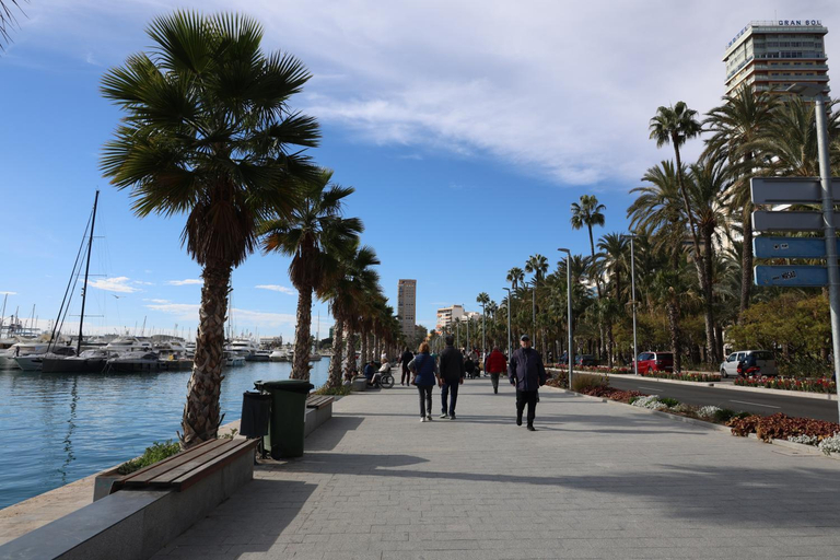 Others 5, Alicantan Vital Experience, Alicante