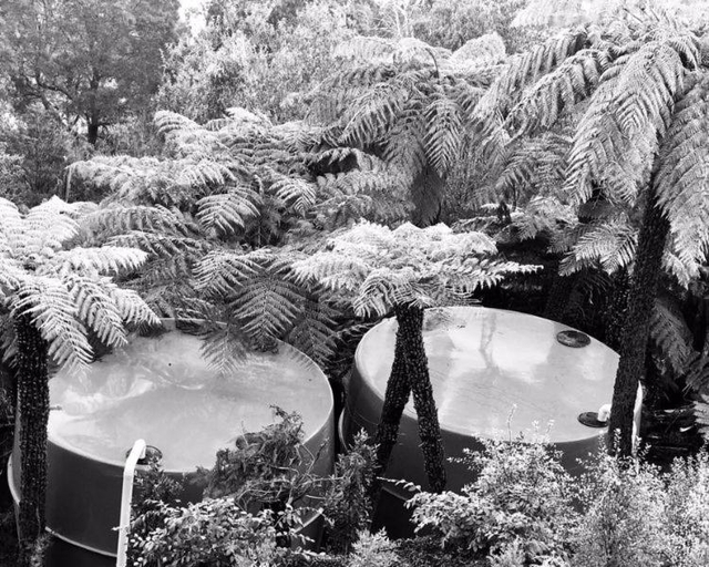 Others 4, Cloud View Garden, Yarra Ranges - Dandenongs