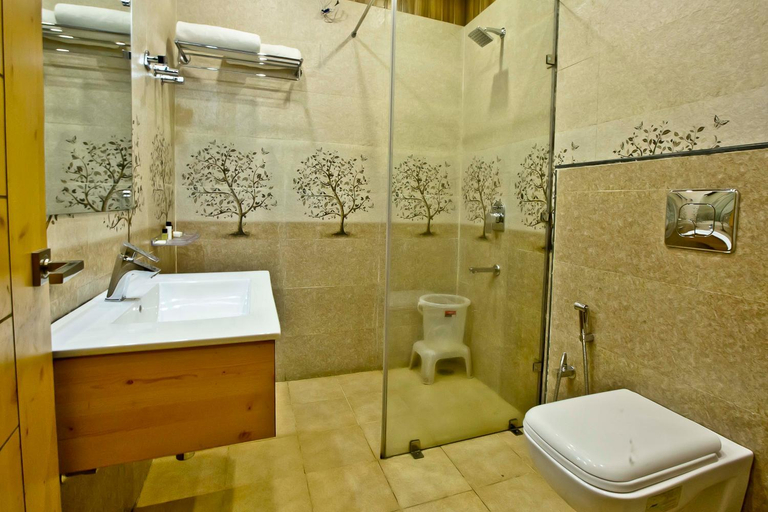 Bathroom 4, Quartz Himalayan Brothers, Kangra