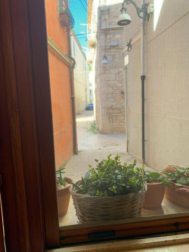 Others 3, Da Minguccio, Potenza