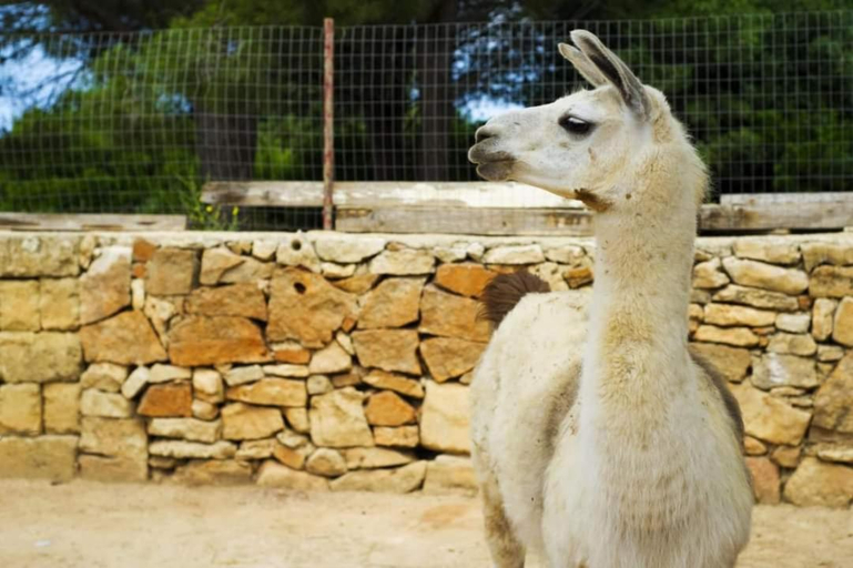 5, Agriturismo Zio Zac, Lecce