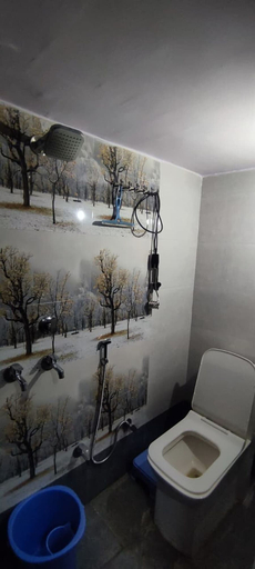 Bathroom 3, Maa Bhagwati Homestay & Restro, Nainital
