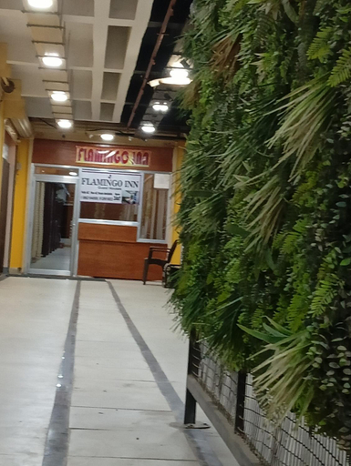 Others 3, Flamingo inn-KV tower 2nd floor, Paidleganj Kalepur,Kasia road, Gorakhpur, Gorakhpur